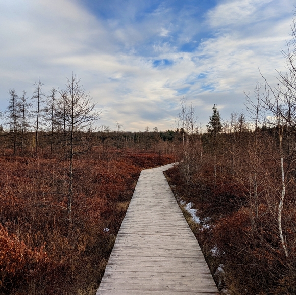 Meet your Posher, Mikaela - Picture 1 of 1